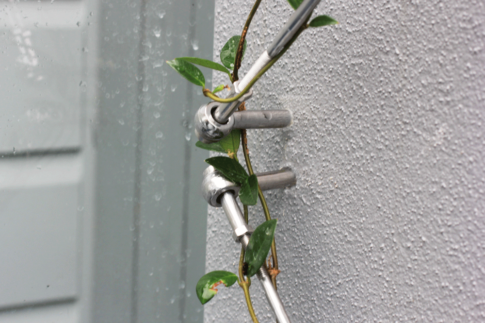 Garden Trellis using 1x19 Wire Rope